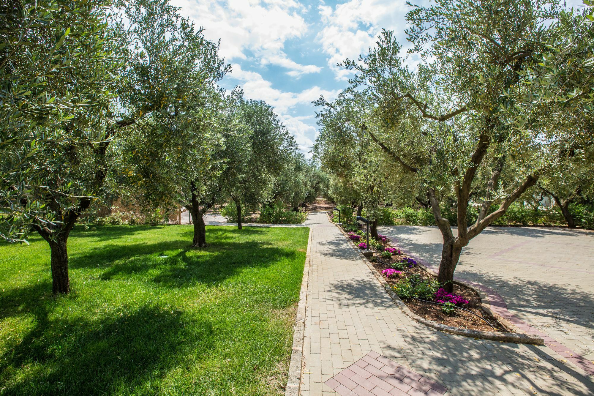 Dimora Tenuta Solentino Torre San Giovanni Ugento Zewnętrze zdjęcie